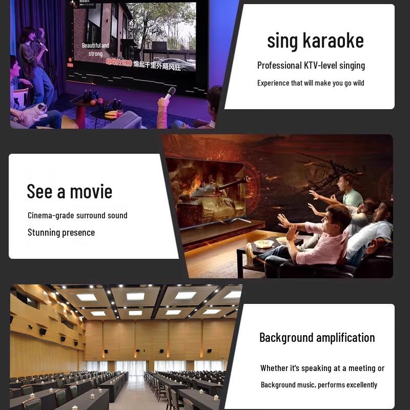 HuiDu CP-10F 10-inch 3-Way HiFi KTV Speaker