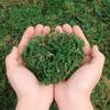 50/100/500g Artificial Moss Simulation Fake Green Plant Landscape Decorative DIY