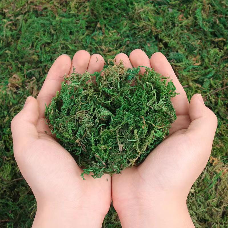 50/100/500g Artificial Moss Simulation Fake Green Plant Landscape Decorative DIY