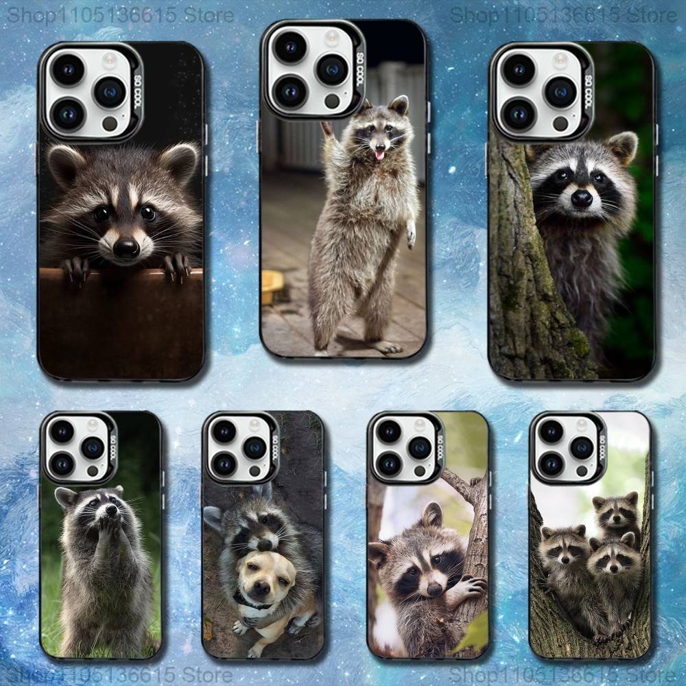 Raccoon Cute Animal Phone Case For iPhone 11,12,13,16,14,15,Mini,Pro,XS,MAX Black Matte Shockproof Cover