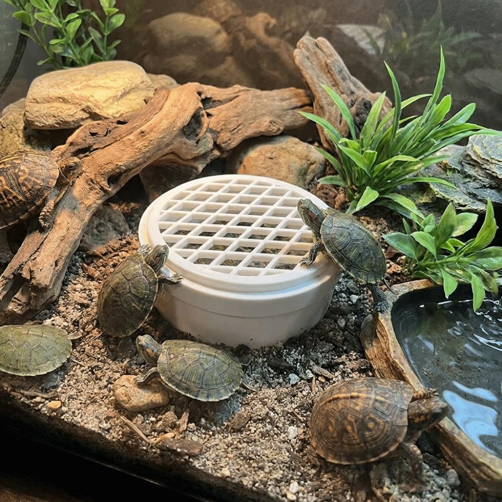 Efficient Turtle Poop Collector Basking Platform Turtle Poop Catcher Feces Collector Turtle Tank