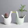 Cute Cartoon Seagull Shape Succulent Flower Pot Ceramic Breathable Cactus Green Plant Flower Pot Tabletop Ornament