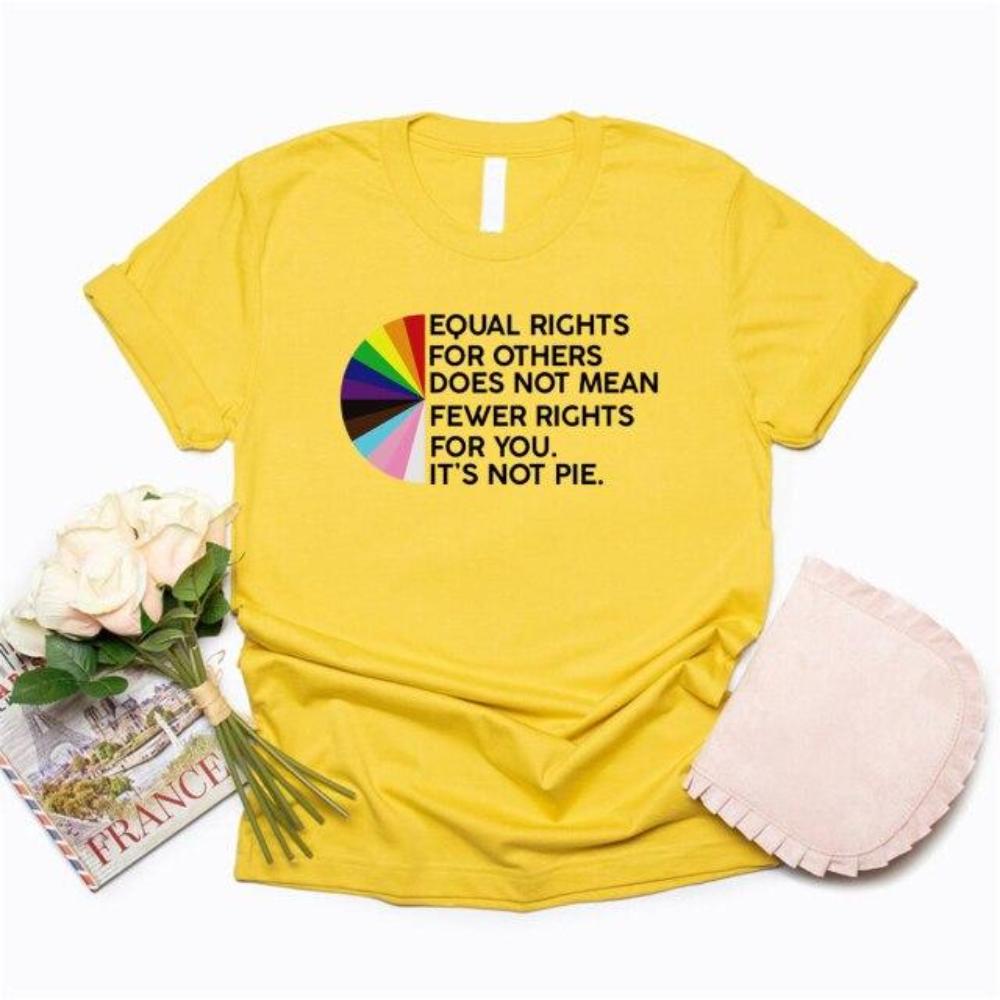 Equal Rights for Others Does Not Mean Fewer Rights for You Shirt It's Not Pie Shirt LGBT Rainbow T-shirt Gay Pride LGBTQ Tshirt