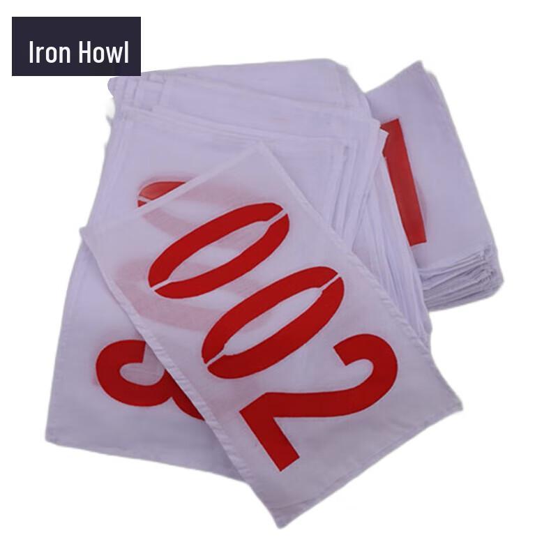 Athlete Race Number Bib with Safety Pins