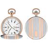 Часы Tissot T8624102901300
