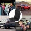 Car Electric Heated Seat Universal for Winter/Cold Days Winter Seat Heater 12V Car Heated Seats Car Seat Heating Cushion Cover