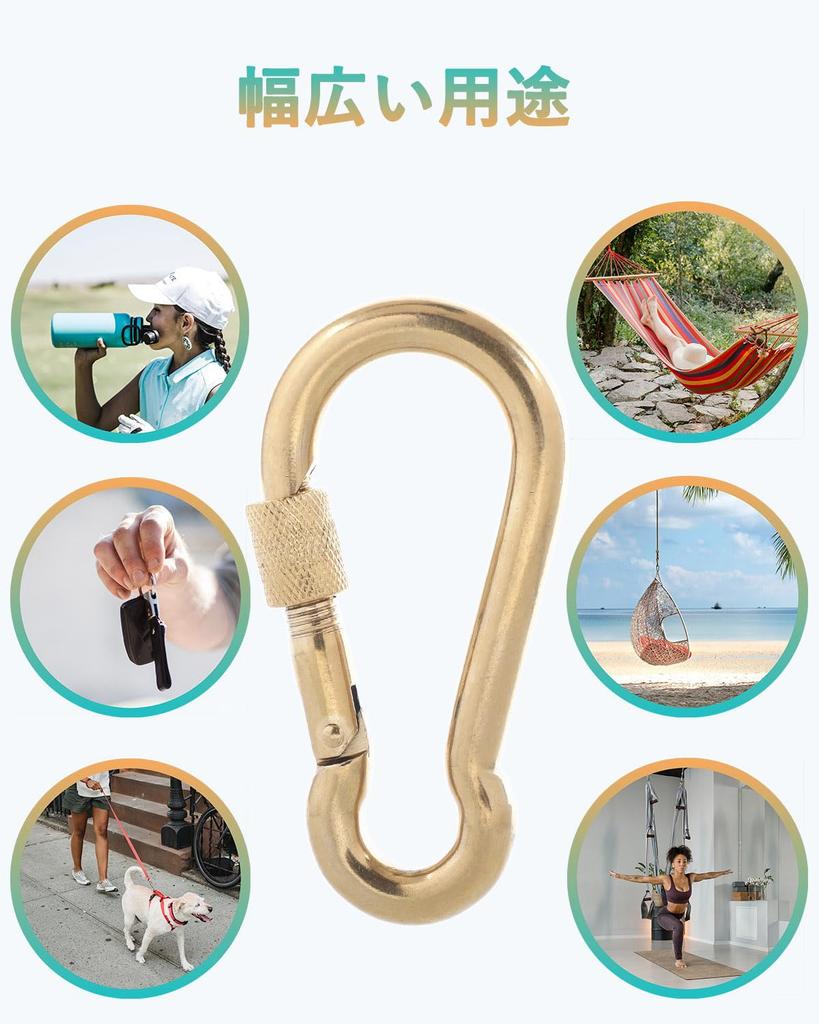 SEPWIK Carabiner, 316 Stainless Steel, Spring Hook, Multi-Function Spring Snap, Keychain, Gold