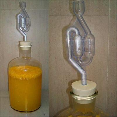 S-Form Air Lock Twin Bubble Grommet Homebrew Bier Gärung Weinherstellung Bier Ventil