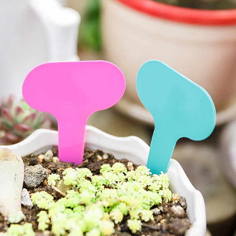 100pcs Garden Labels Plant Classification Sorting Sign Tag Ticket Plastic Writing Plate Board Plug In Card Colorful Garden Decor