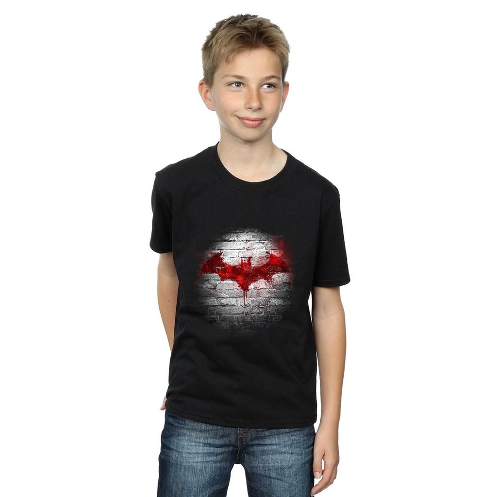 DC Comics Boys Batman Logo Wall T-Shirt