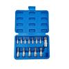 13pcs Torx Bit Socket Set, CRV Sockets, S2 Steel Bits, 1/4-inch (T8-T30), 3/8-inch (T40-T60) & 1/2-inch (T70) Drive, with Case