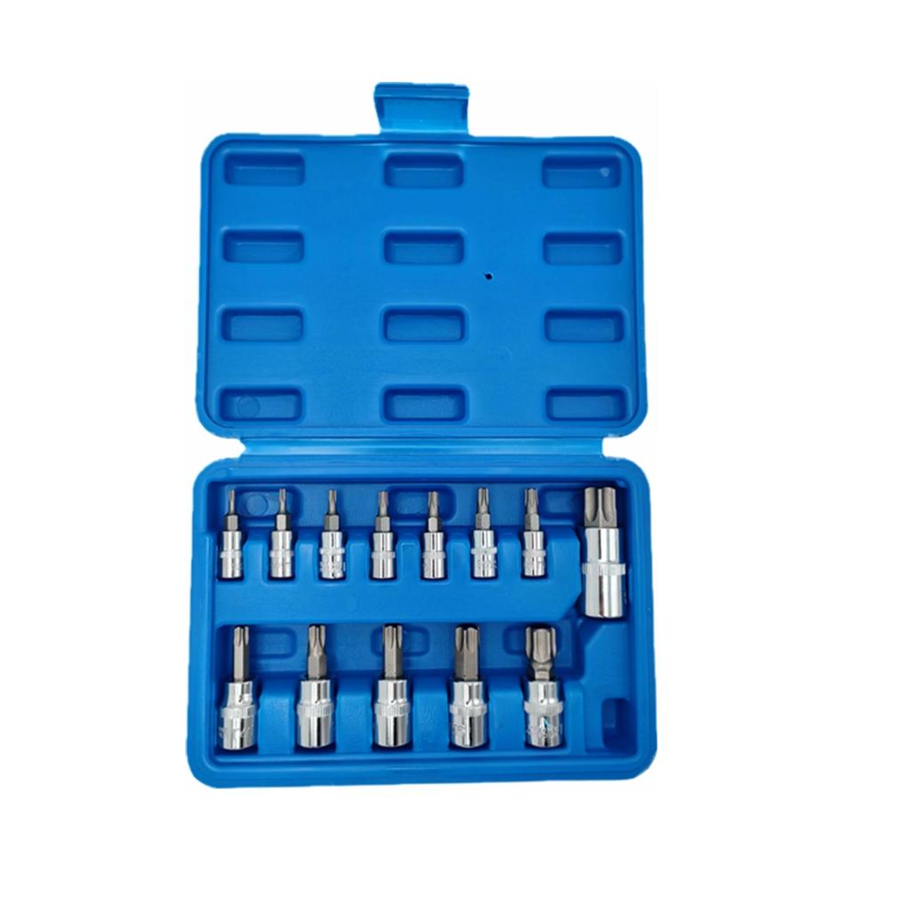 13pcs Torx Bit Socket Set, CRV Sockets, S2 Steel Bits, 1/4-inch (T8-T30), 3/8-inch (T40-T60) & 1/2-inch (T70) Drive, with Case