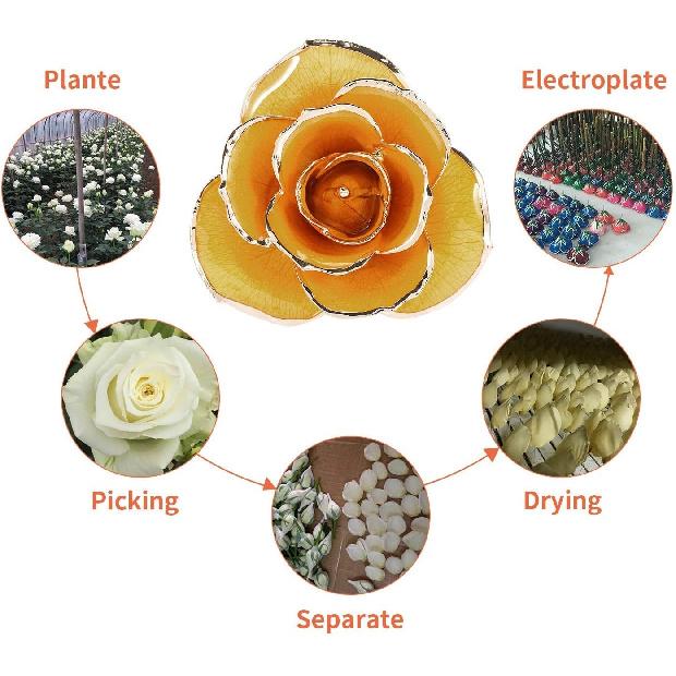 FILFEEL 24K Vergoldete Rose, Langer Stiel, 11-12 Zoll, Echte Rose, Gold, Luxuriöse Eleganz, Künstliche Blume, Konservierte Rose, Party, Schmuck,