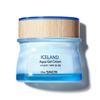 Iceland Aqua Gel Cream_Moisture Cream_US