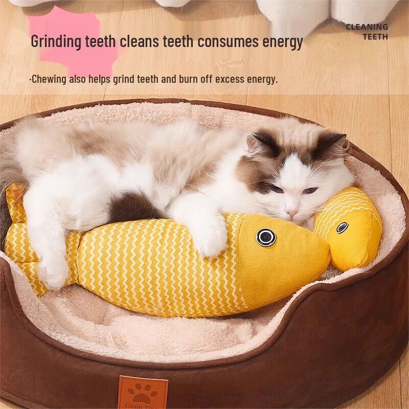 6-Piece Durable Cat Scratcher Bed & Toy Set