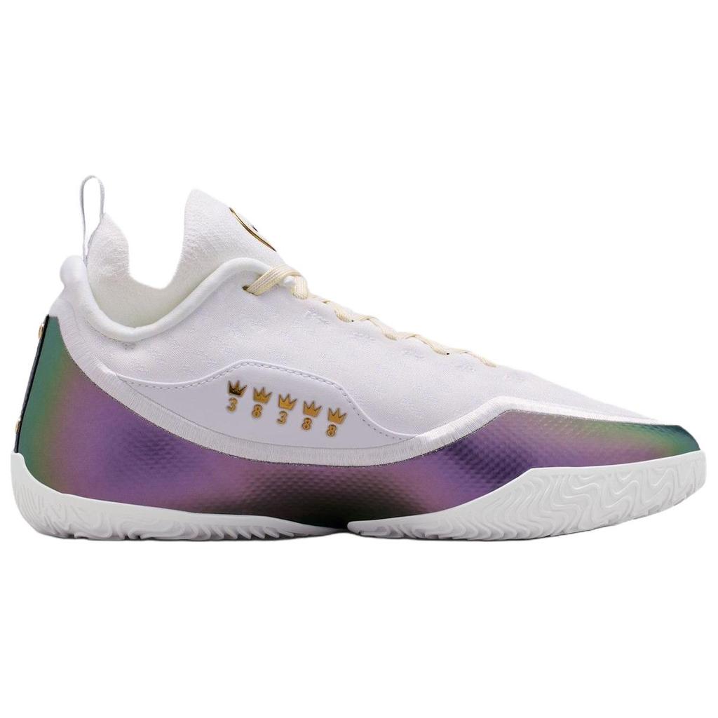 Nike Lebron 23 Elite EP For The Record Comfortable Fit Basketball Shoes Men sneakers White IB9558-100