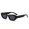 Fashion Personality Small Frame Irregular Sunglasses  Trend Personality Hip-Hop Concave Modelling Pc Sunglasses