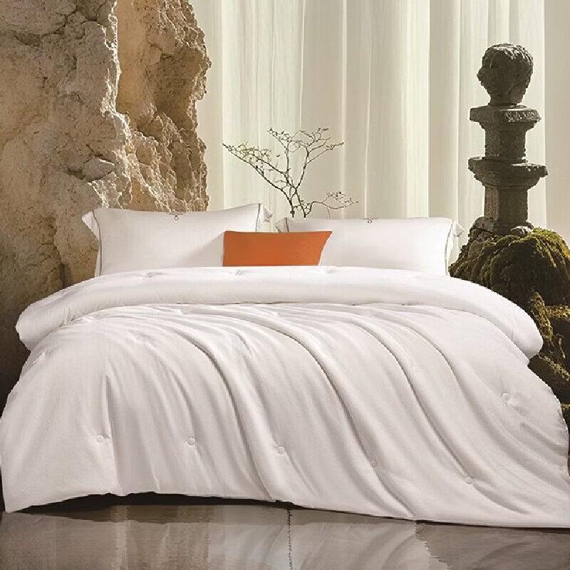 Mengjie Dream Line Jacquard All-Season Quilt