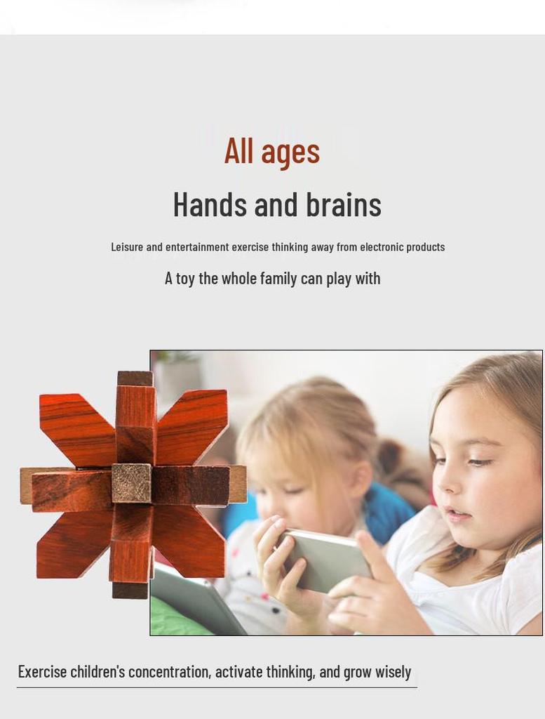 Wooden Educational Toys: Baby & Toddler Developmental Unlocking Set (6 Pieces)