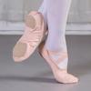 Girls Women Ballet Shoes New Elastic Cloth Split Soft Soled Cat Claw Dance Shoes Gymnastics Yoga Children Adult Ballerina Shoes