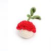 Woolen Hook Weaving Pendant Handmade Hook Weaving Persimmon Woolen Weaving Pendant Knitted Fruit Pendant