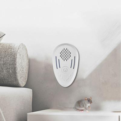 Haushalt & Ordnung – Schädlingsbekämpfung