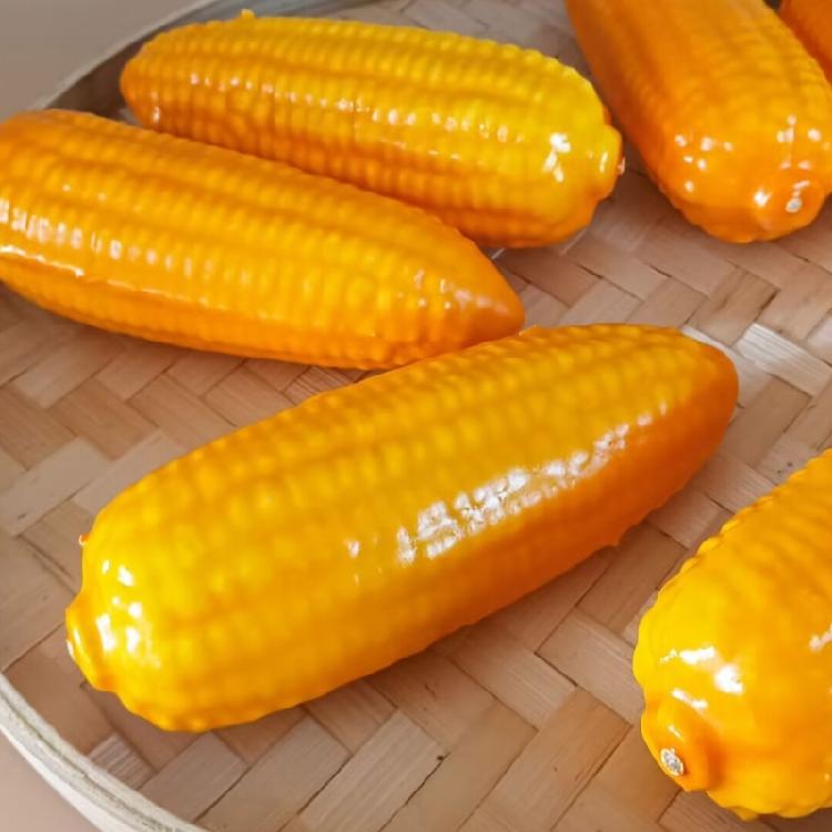 Pack of 2Pcs Artificial Corn Realistic Vegetable Models Kitchen Decoration for Display Kitchen Decoration Photography