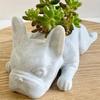 French Bulldog Succulent Planter Flowerpot Puppy Dog Statue Flower Pot with Drainage Hole Resin Ornament for Home Office Garden