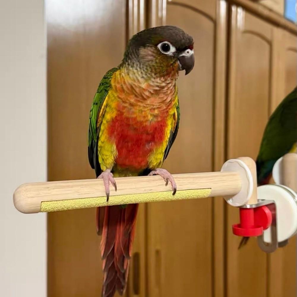 DIY Suction Cup Bird Climbing Perch Comfortable Grip Easy To Install Parrot Standing Perch with Tray Stable Non-slip