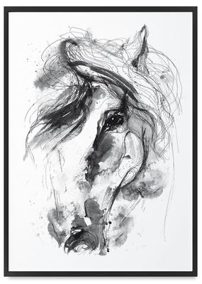 Poster Horse Sketch Portrait In Black Frame