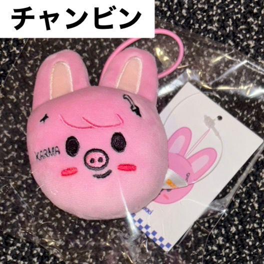 

[Б/У] straykids карма чанбин бейдж поп-ап товары