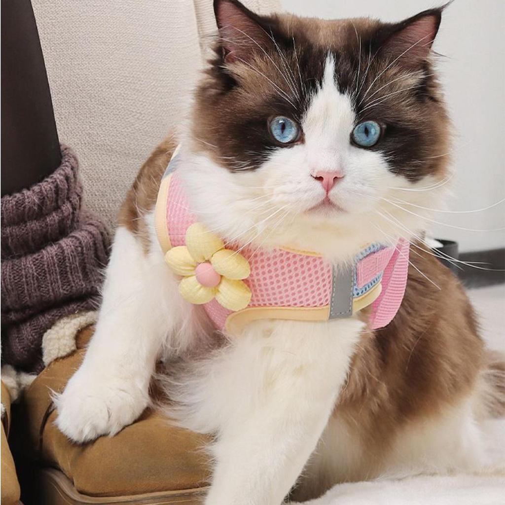 Harness For Puppy Reflective Cat Harness Breathable Pet Supplies Cartoon Puppy Straps For Travel Training Daily Use Beach