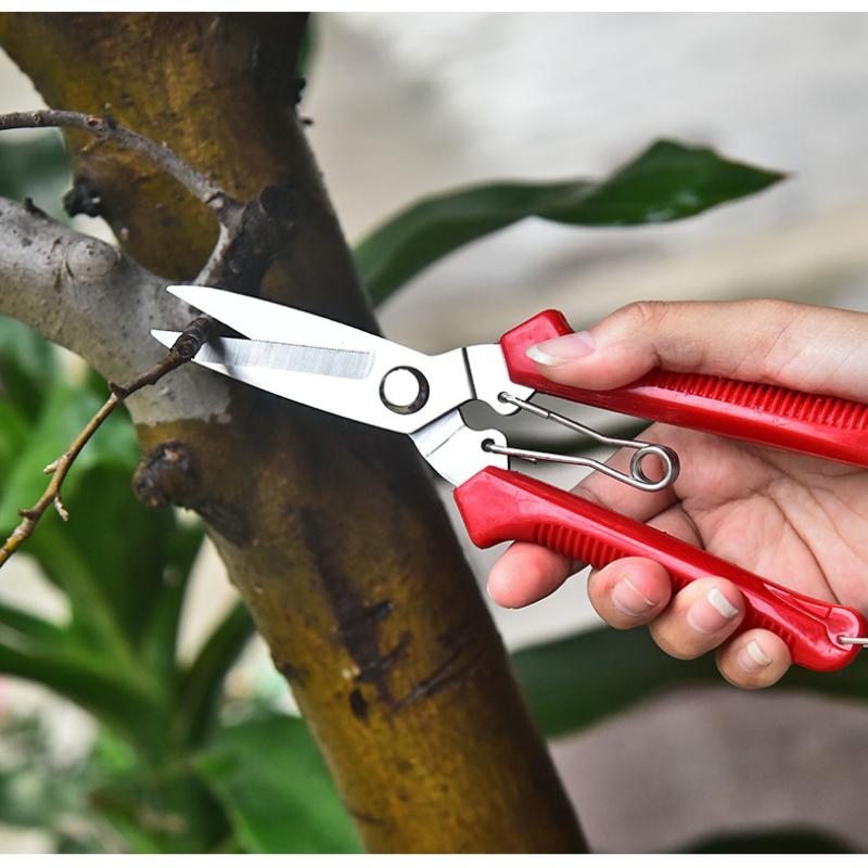 Garden Scissors Straight Head Pruning Shears Non-slip Handle Stainless Steel Outils Manuels Household Bonsai Pruing Scissors