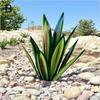 Agave Plants Green Garden Art Outdoor Decoration Handicrafts Creativity Ornament
