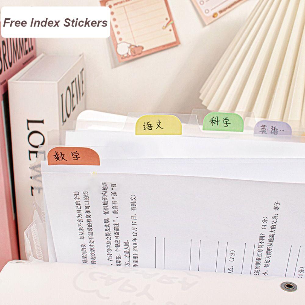 Capybara Test Paper Storage Folder Cartoon Document Bag New Portfolio