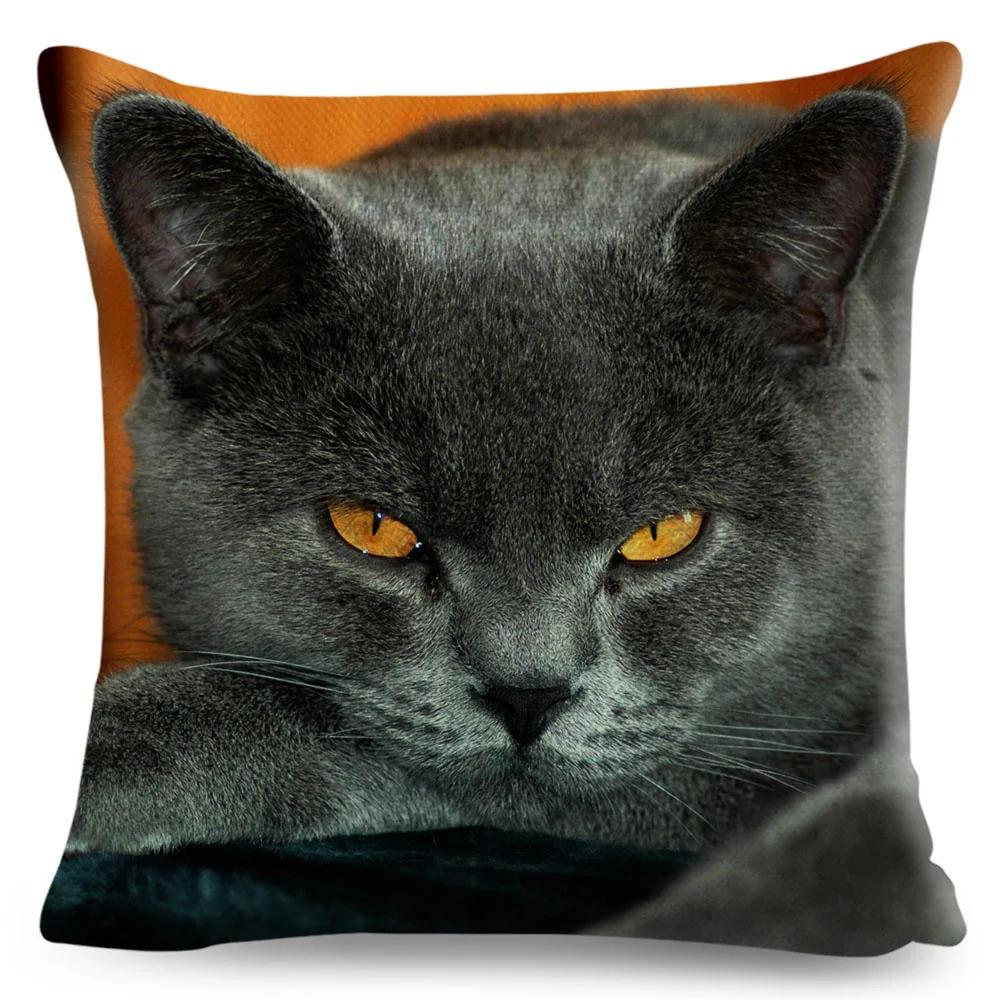 Funny Cute Cat Cushion Cover Decor Lovely Pet Animal Print Pillowcase Polyester Throw Pillow Case for Sofa Home Car 45x45cm