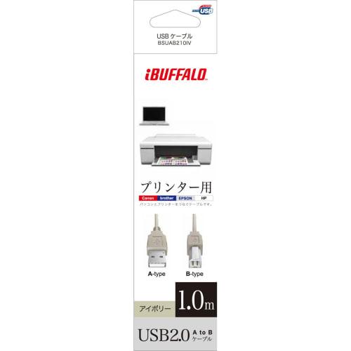 Buffalo iBUFFALO USB2.0 cable 1.0m Ivory BSUAB210IV