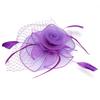 Ladies Gauze Hat Bridal Wedding Birdcage Fascinator   Hair Accessory (Red)