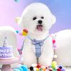 Winter Dog Harness Leash Set Warm Fur Dog Vest And Pet Walking Lead Rope Cute Bowknot Harnesses Soft For Small Medium Dogs Puppy