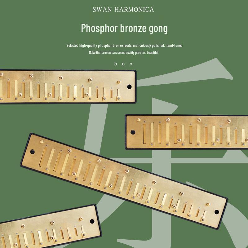 Swan Harmonica: Professional Double Reed, C Key, 24/28 Holes for Beginners & Adults