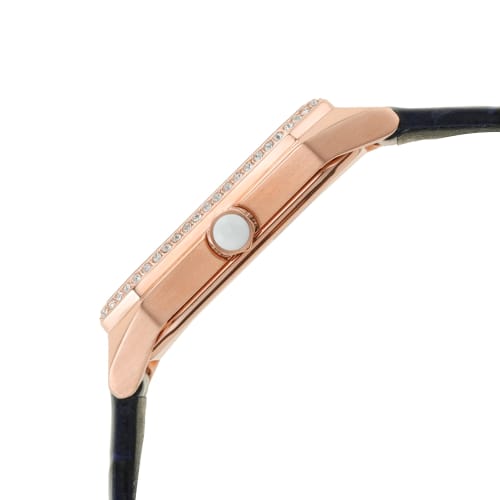 Emporio Armani Women's Watch NA AR11466 Blue