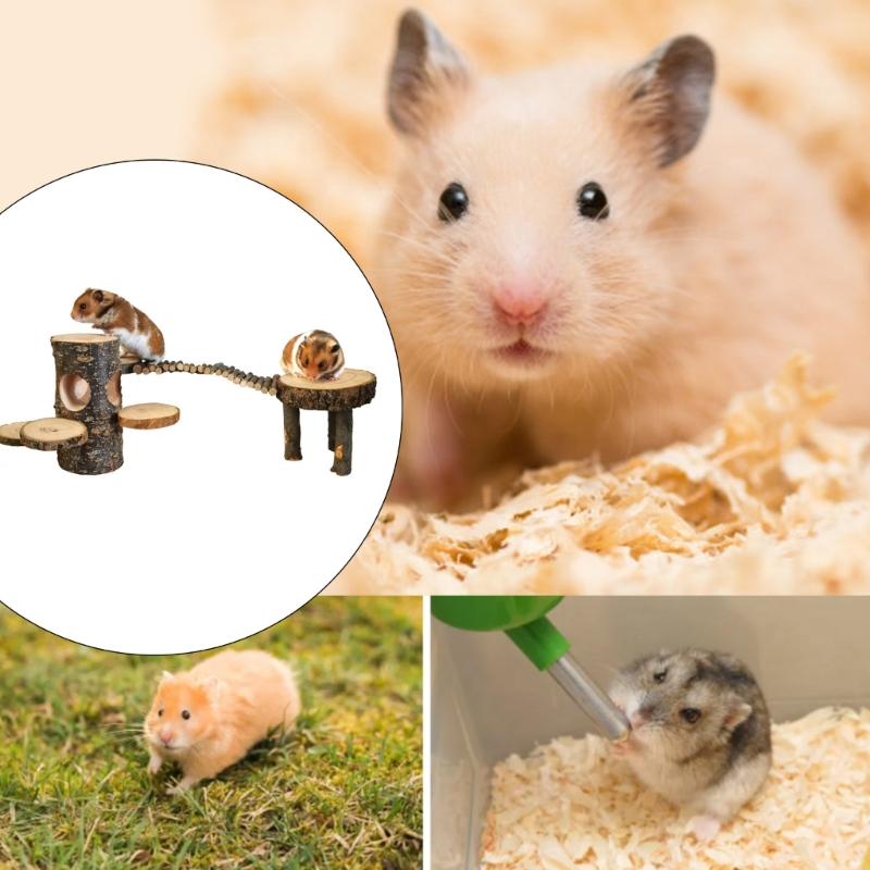 Hamster Platform Cage Ladder Toy Small Animals Climbing Ladder Rabbit Cage Playground Grinding Jumping Exercise Platform