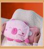 Explosion-Proof Rechargeable Plush Hot Water Bottle: Cute, Warm Hand & Belly Warmer for Girls’ Dormitory