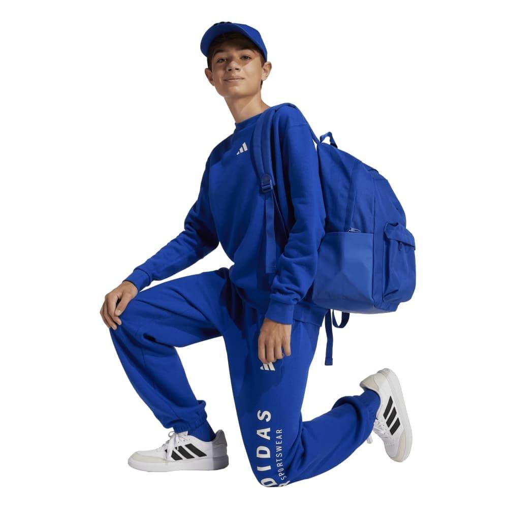 adidas Boys ALLSZN GFX Sweatshirt KPH32 Team Royal Blue Off White Size 130