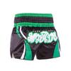 ANOTHERBOXER Retro Muay Thai & MMA Fight Shorts - Sanda Wushu Uniform