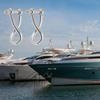 6mm Stainless Steel Swivels Bolt Shackle Suitable for Sailing Rigging Boating Lifting Applications Industrial Marine Use