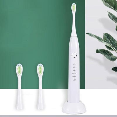 Shangheng SHZH-039 Adult Sonic Electric Toothbrush CN Plug (adapter Included)