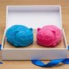 Mini Fuzz Cat Squeeze Toy Stress Relief Fuzzy Ball Fidget Toy Focus Aid Relaxation Anxiety Relieving Office Desk Toy