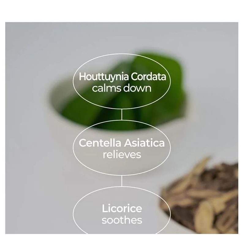 NUMBUZIN No.1 Centella Re-Leaf Green Toner Pad Bundle Set