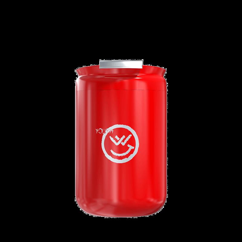 Feiwu Mini Cola Can Insulated Bottle